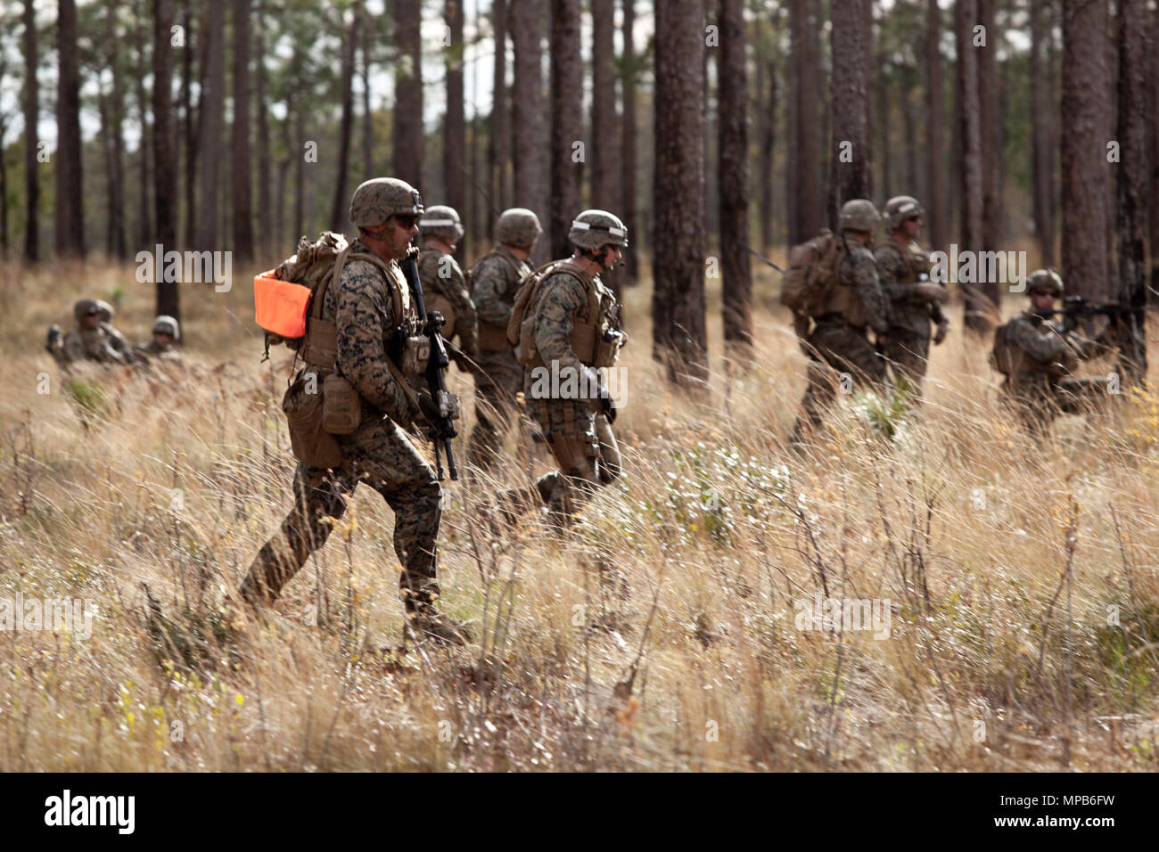 U.S. Marines attached to Advanced Infantry Training Battalion, School of Infantry-East (SOI-E), conduct buddy pair fire and maneuver movements during a combined arms exercise at Camp Lejeune, N.C., April 7, 2017. The mission of SOI-E is to train entry-level and advanced level Marines in the skills required of an Infantry Marine for the operating forces. Stock Photo