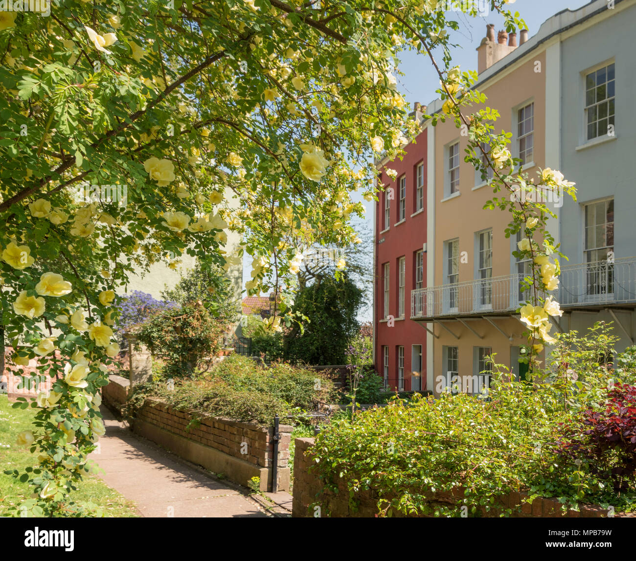 The colourful gardens of The Polygon in Cliftonwood, Bristol Stock ...