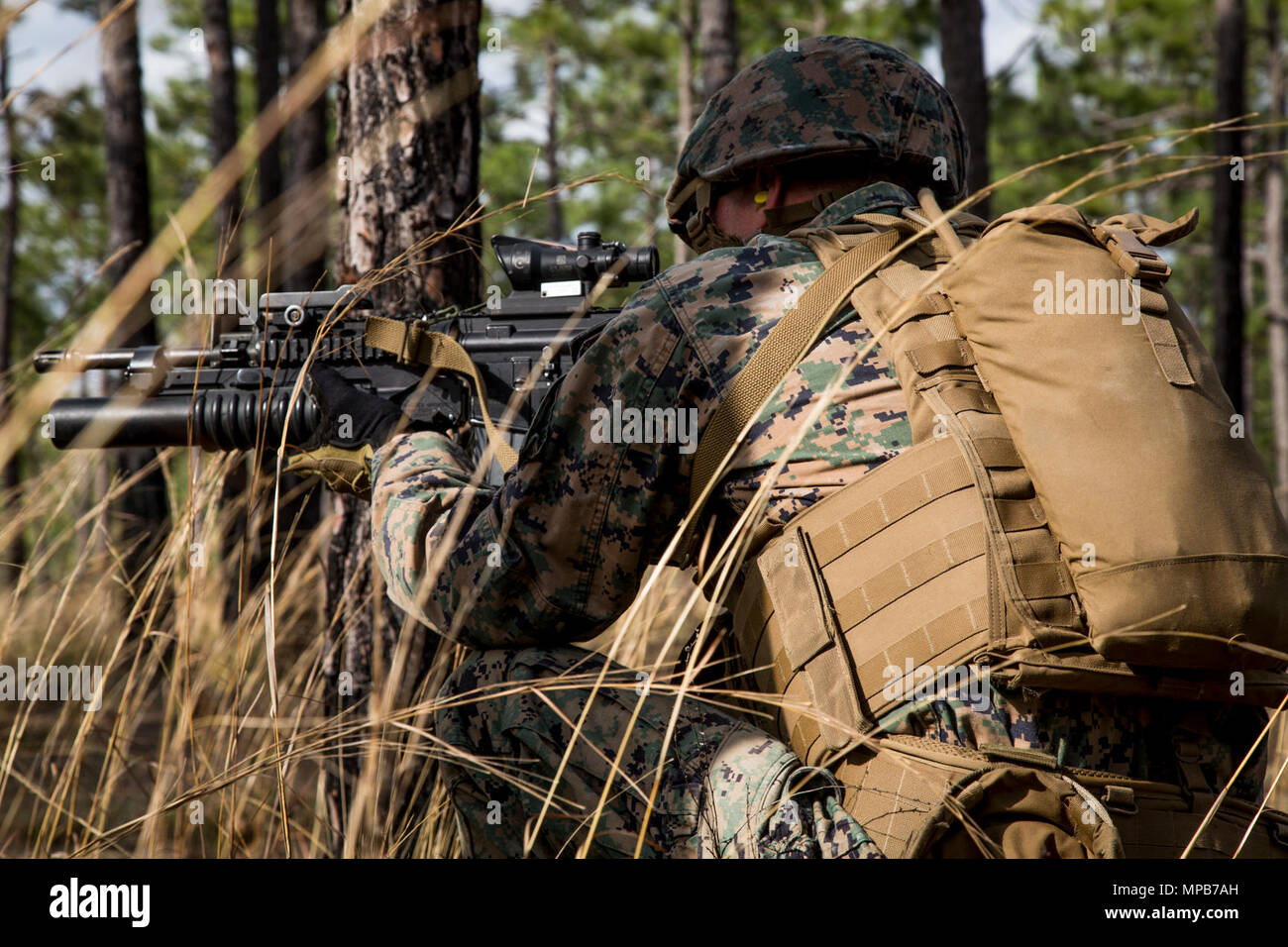 A U.S. Marine attached to Advanced Infantry Training Battalion, School of Infantry-East (SOI-E), looks down the sights of his M4A1 carbine during a combined arms exercise at Camp Lejeune, N.C., April 7, 2017. The mission of SOI-E is to train entry-level and advanced level Marines in the skills required of an Infantry Marine for the operating forces. Stock Photo