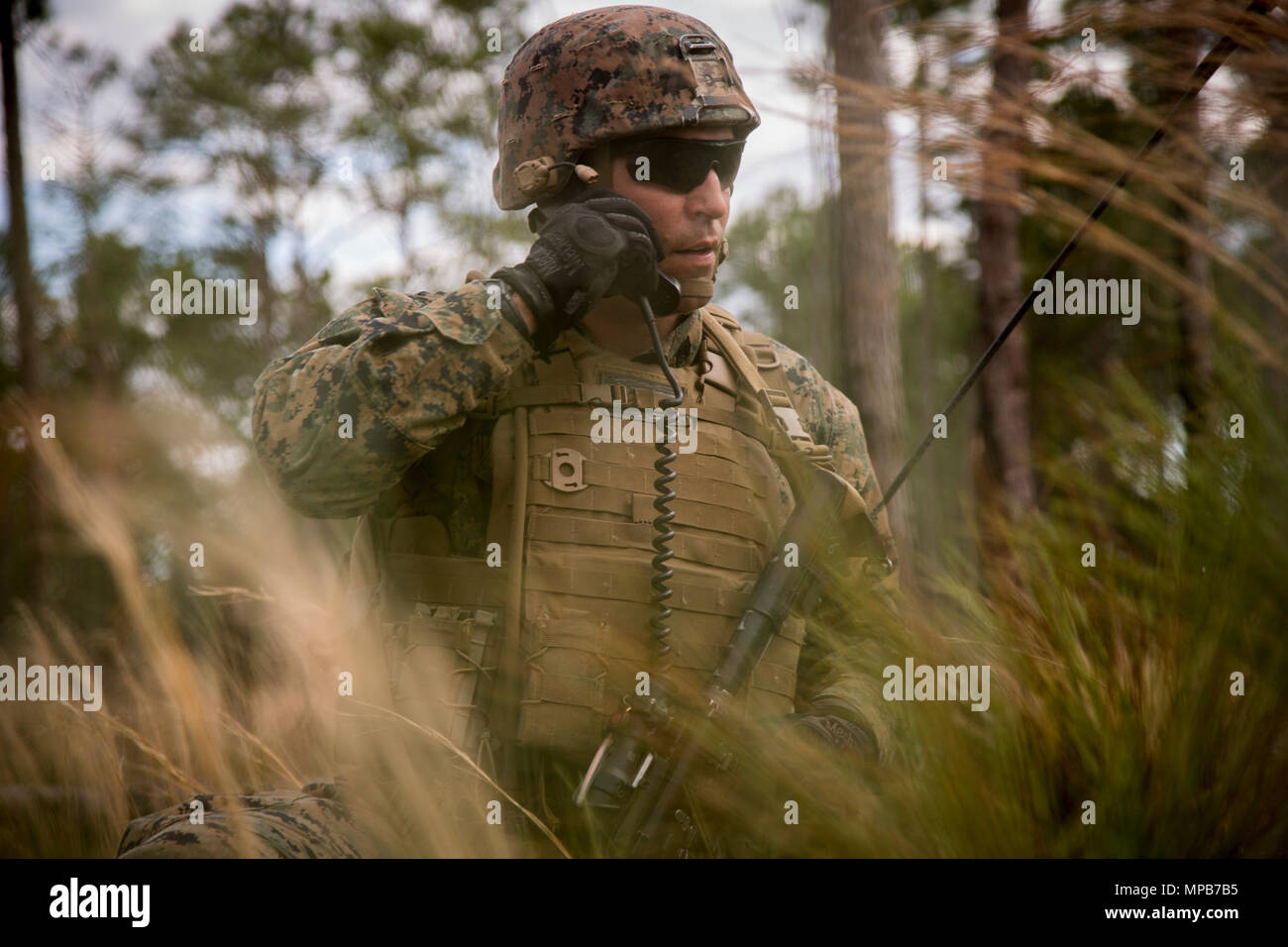 A U.S. Marine attached to Advanced Infantry Training Battalion, School of Infantry-East (SOI-E), talks on his radio during a combined arms exercise at Camp Lejeune, N.C., April 7, 2017. The mission of SOI-E is to train entry-level and advanced level Marines in the skills required of an Infantry Marine for the operating forces. Stock Photo