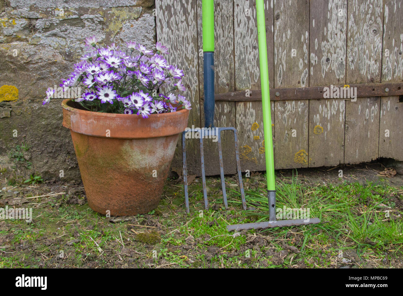 Garden fork & rake & barn door Stock Photo - Alamy