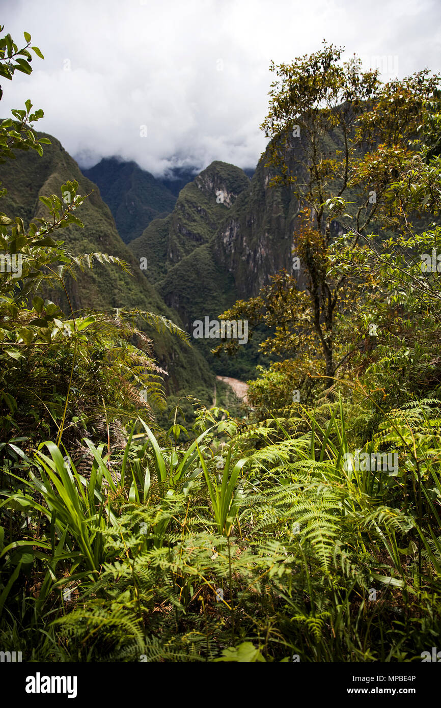Detail of the Machu Picchu Inca citadel in Peru Stock Photo - Alamy