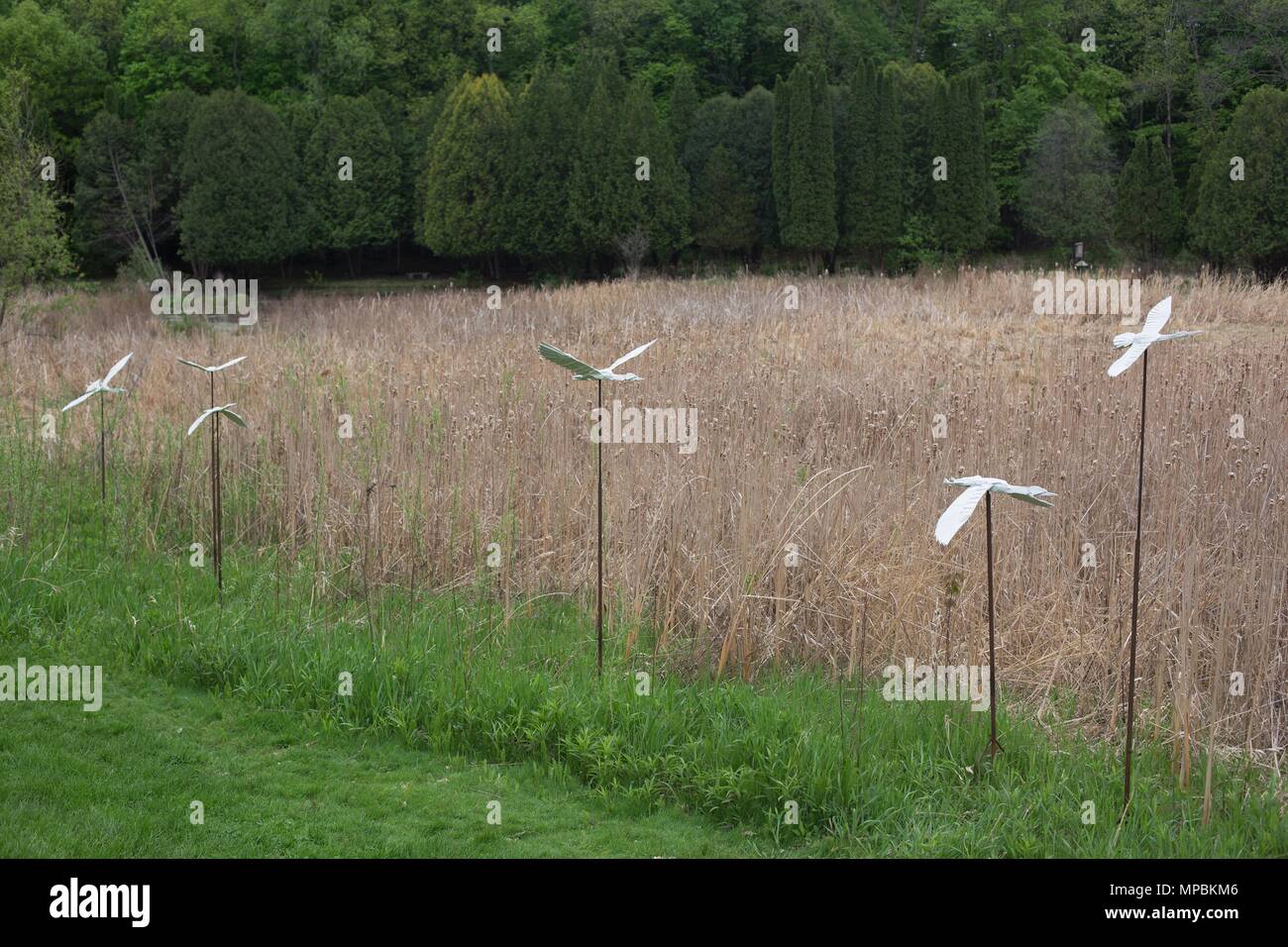 Migrating Peace, a sculpture by Kevin Box, at the Minnesota Landscape Arboretum outside of Minneapolis in Chaska, Minnesota, USA. Stock Photo