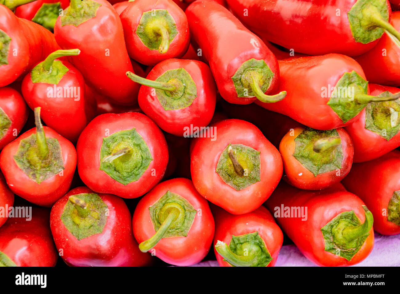 Stack of red poblano peppers for sale in market Stock Photo