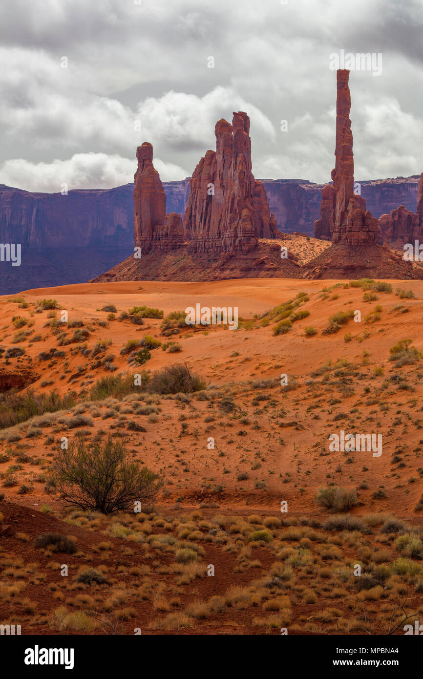 Totem Pole and Yei Bi Chei, Monument Valley Navajo Tribal Park, Arizona