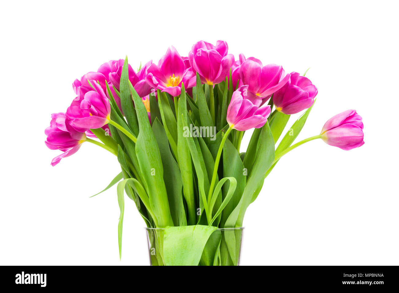 Bouquet of tulips flowers in the glass vase isolated on white ...