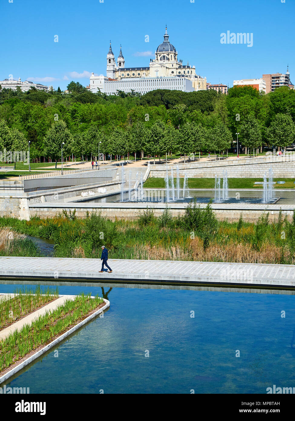 Puente de Segovia bridge crossing the gardens of Madrid Rio at spring day with the Almudena Cathedral in background and a men walking in foreground. Stock Photo
