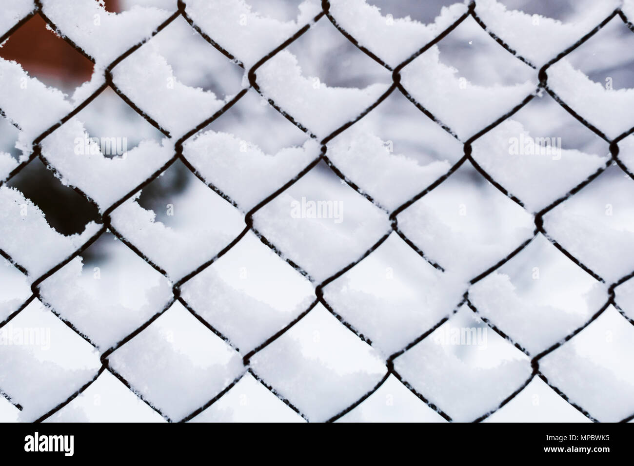 Snow on the grid. Iron mesh covered with snow in winter. Fencing in the snow Stock Photo