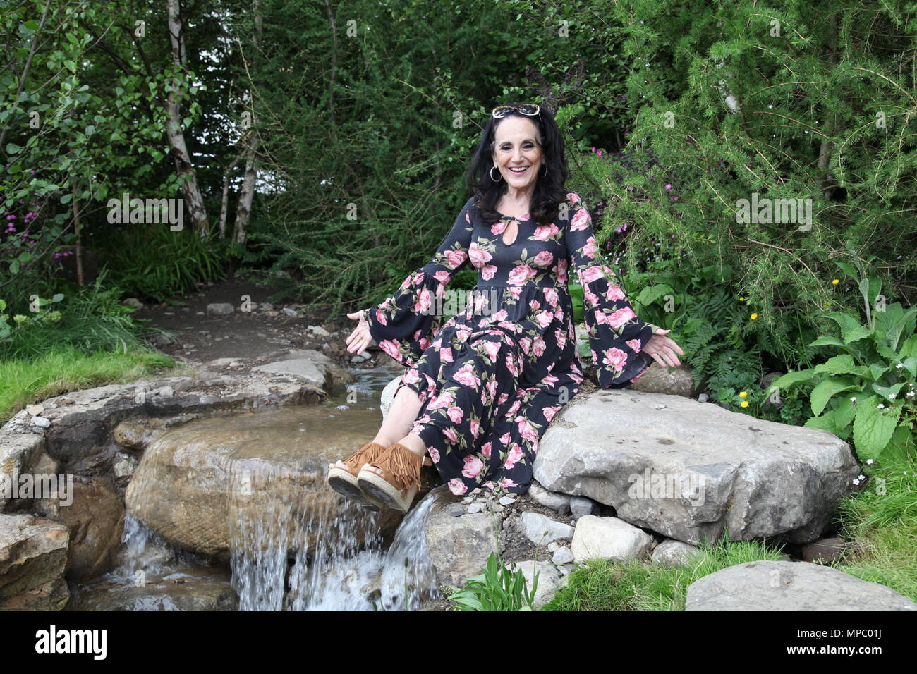 Lesley joseph hires stock photography and images Alamy
