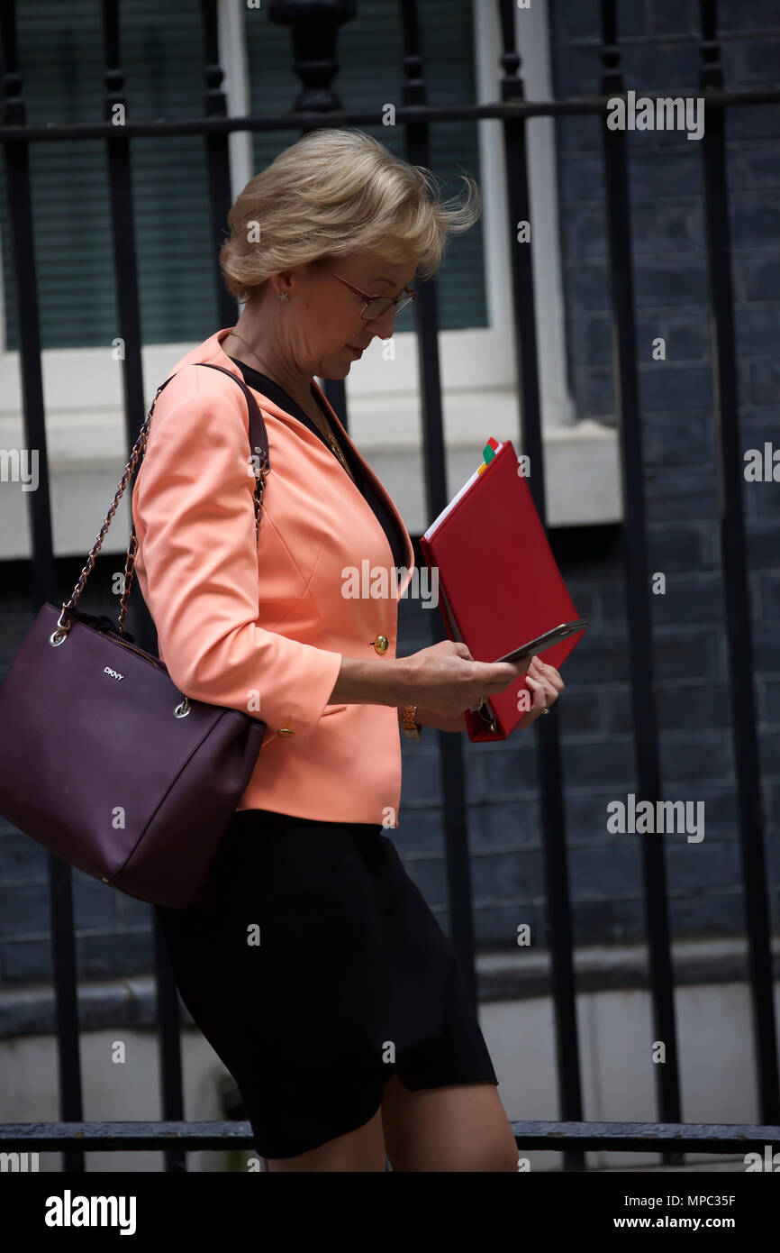 Andrea Leadsom Stock Photos Andrea Leadsom Stock Images Alamy   Londonuk22nd May 2018leader Of The House Of Commons And Lord President Of The Council The Rt Hon Andrea Leadsom Mp Leaves After The Weekly Cabinet Meeting At 10 Downing Street In Londoncredit Keith Larbyalamy Live News MPC35F 