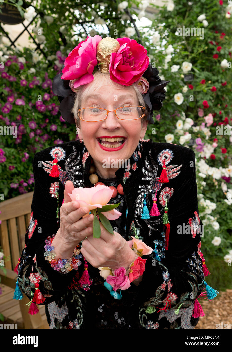Su Pollard High Resolution Stock Photography And Images Alamy