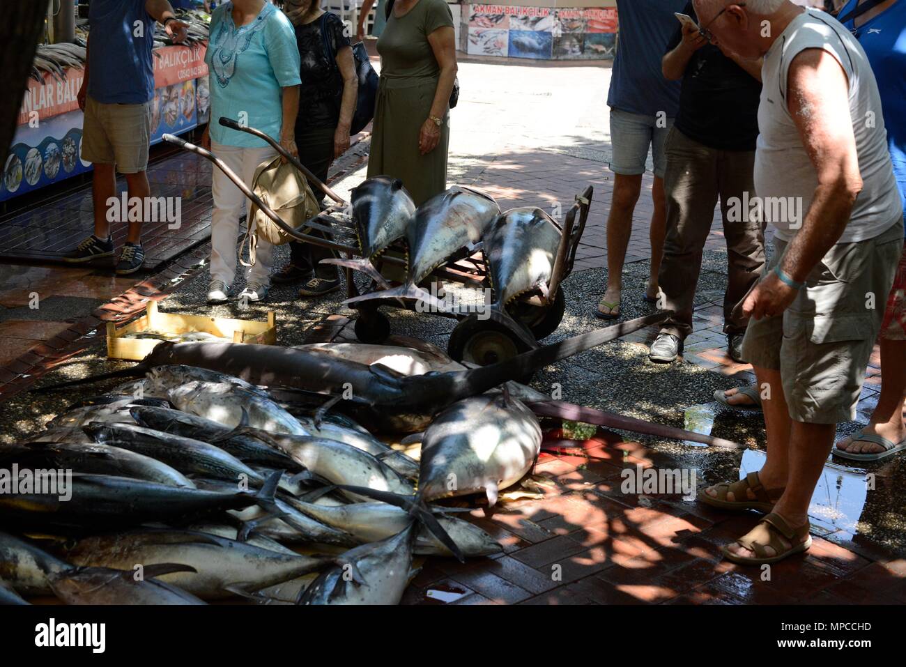 Large Fish in Fethiye fish market Stock Photo Alamy