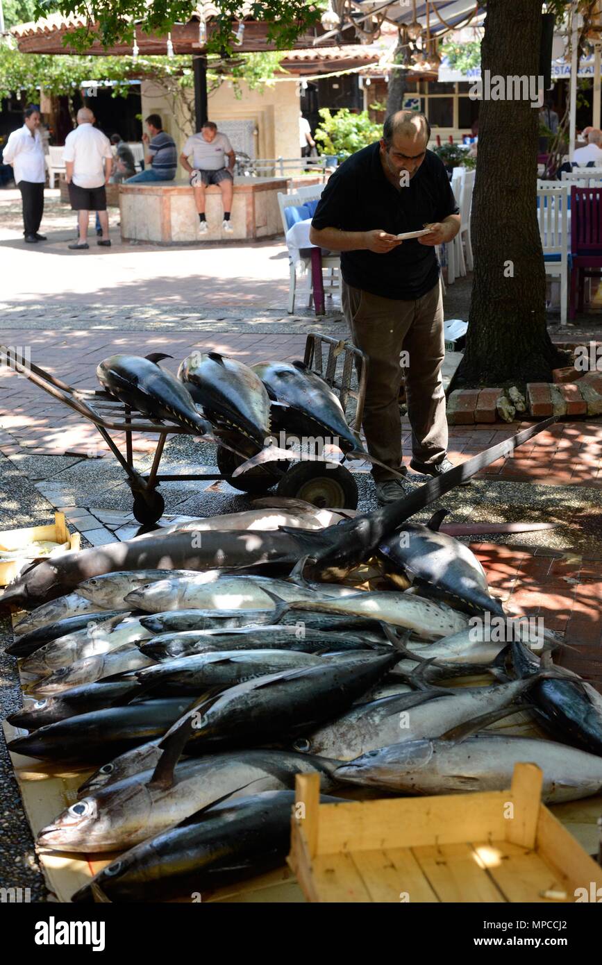 Large Fish in Fethiye fish market Stock Photo Alamy