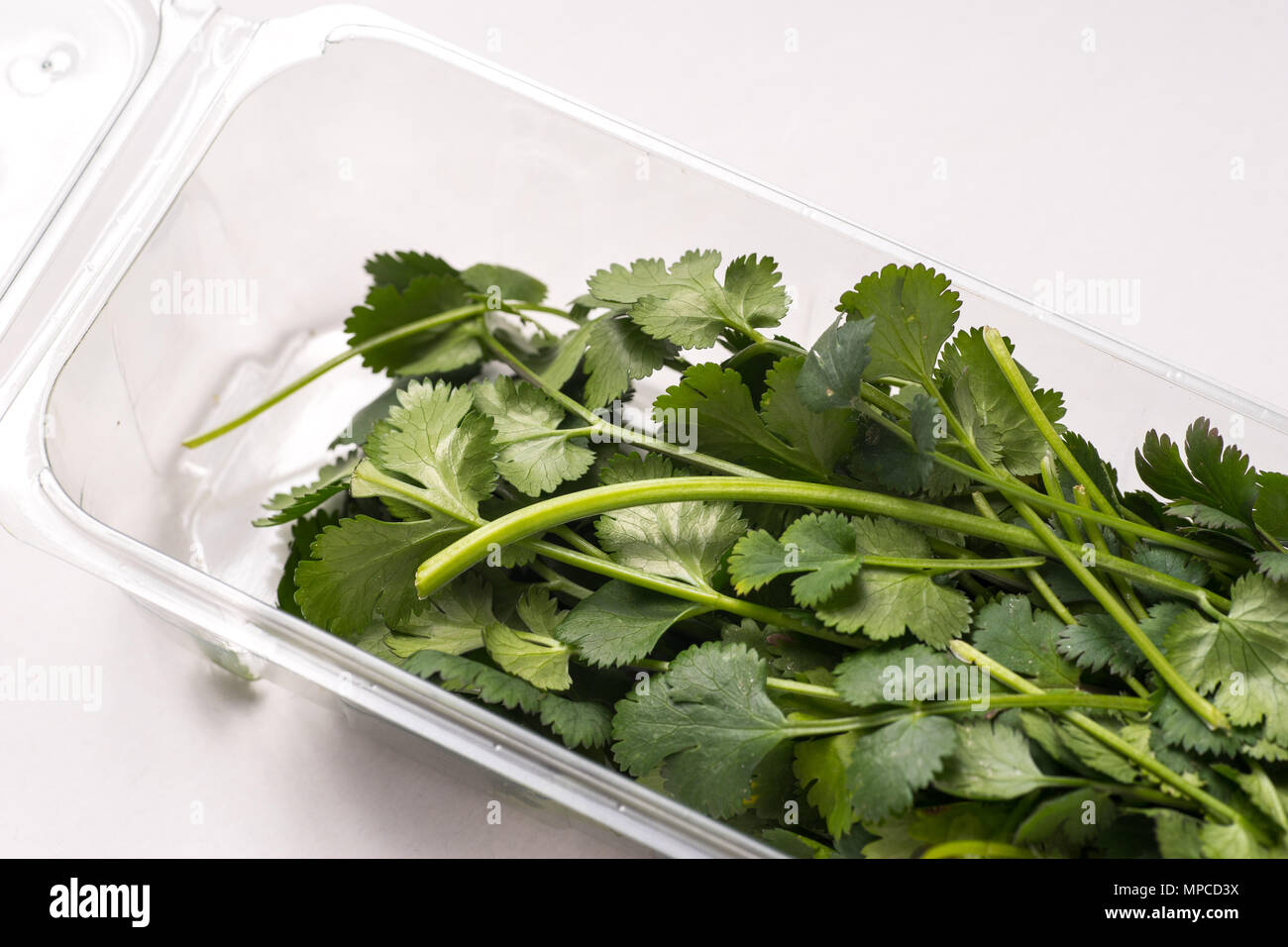 Organic green Parsley in Plastic container isolated on white Stock Photo