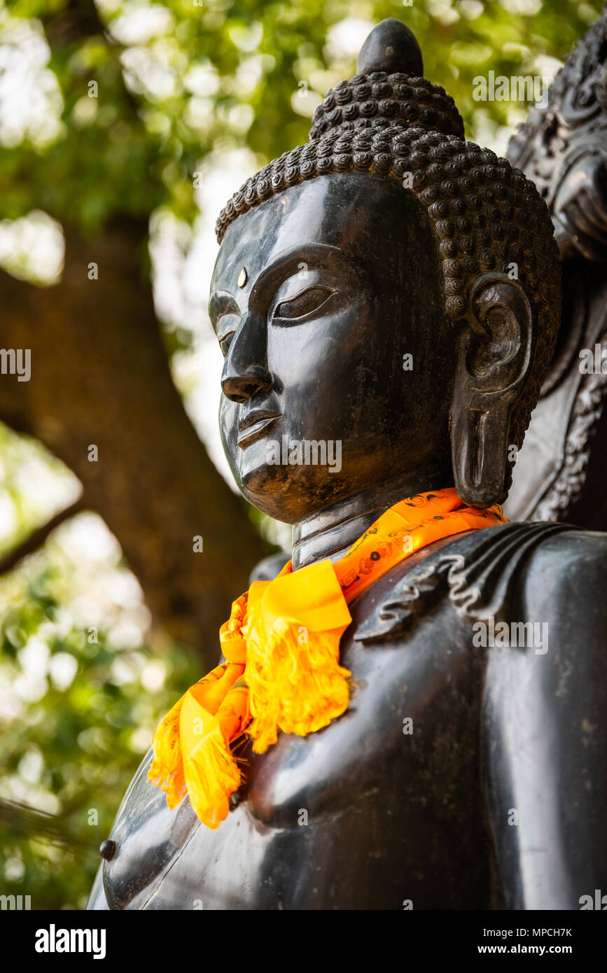 Statue of Buddha wearing an orange khata (scarf) in Patan, Nepal Stock