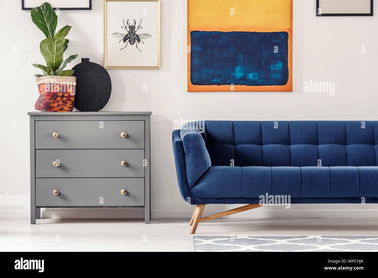 Fresh green plant placed on grey cupboard standing next to navy blue sofa in bright living room interior with fly poster and modern art painting Stock Photo