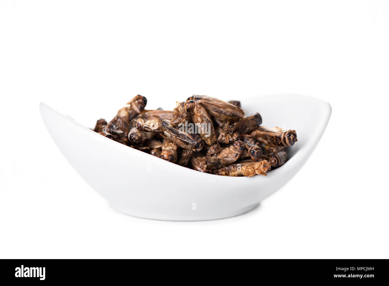 some fried crickets seasoned with onion and barbecue sauce in a white ceramic bowl, on a white background Stock Photo