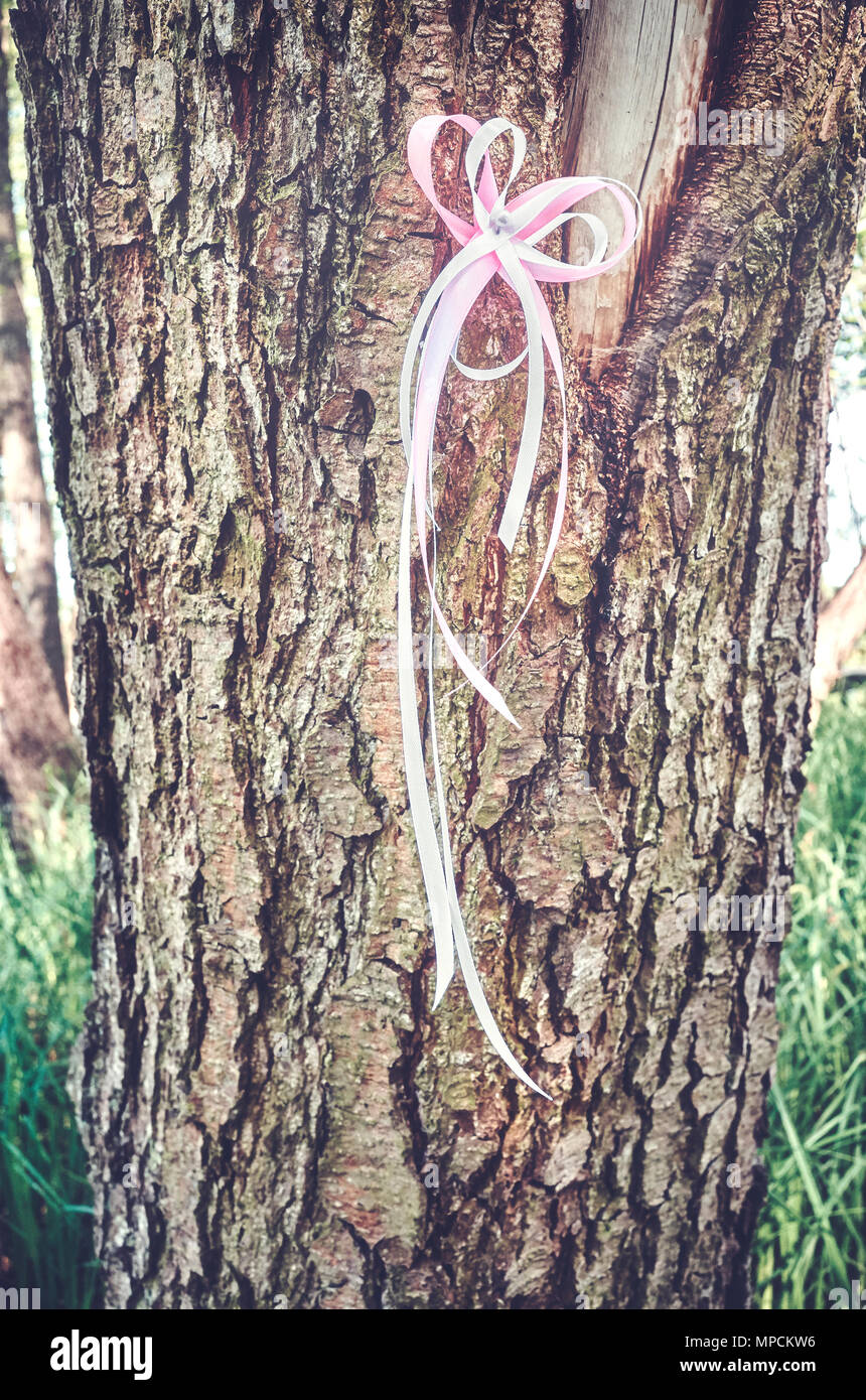 White and pink ribbon on a tree in a park, awareness symbol, selective focus, color toned picture. Stock Photo