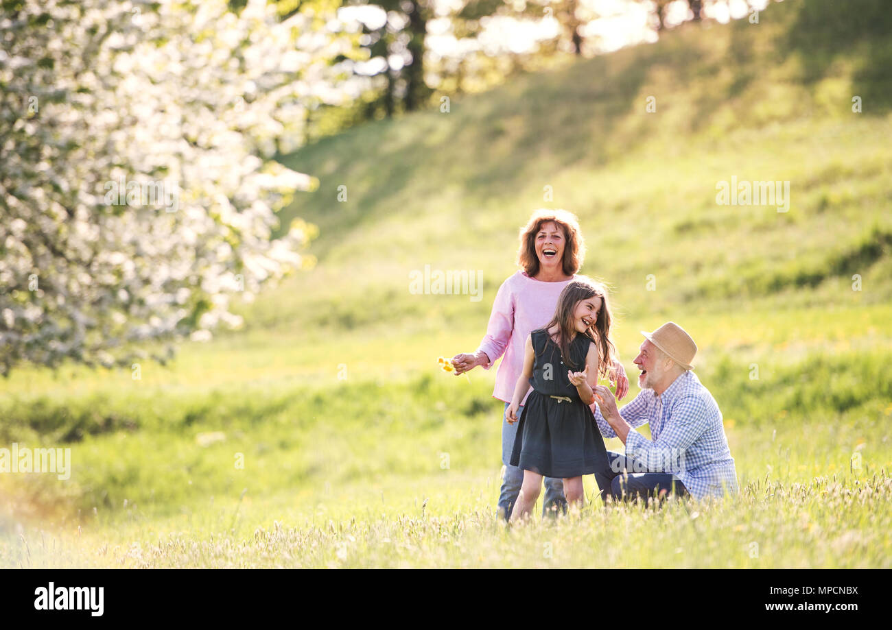Senior couple with grandaughter outside in spring nature. Stock Photo