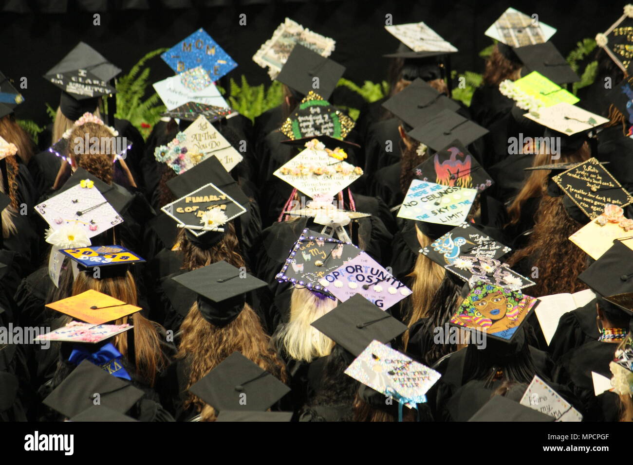 Decorated Graduation Caps Stock Photo 185907247 Alamy