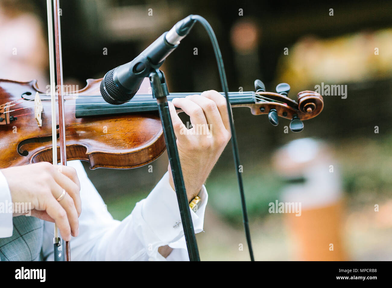 music, performance, orchestra concept. in delicate arms of caucasian ...