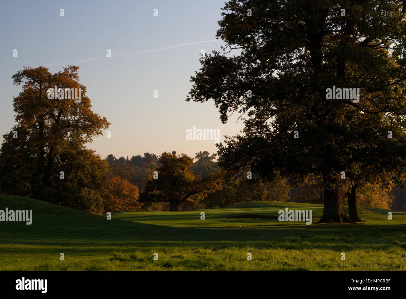 The Golf Course in Autumn, Brocket Hall, Hertfordshire Stock Photo