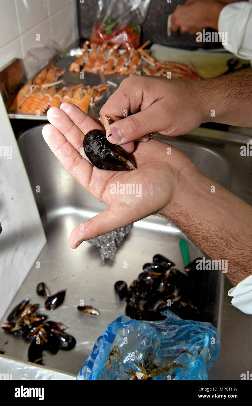 cleaning and preparation of mussels Stock Photo Alamy