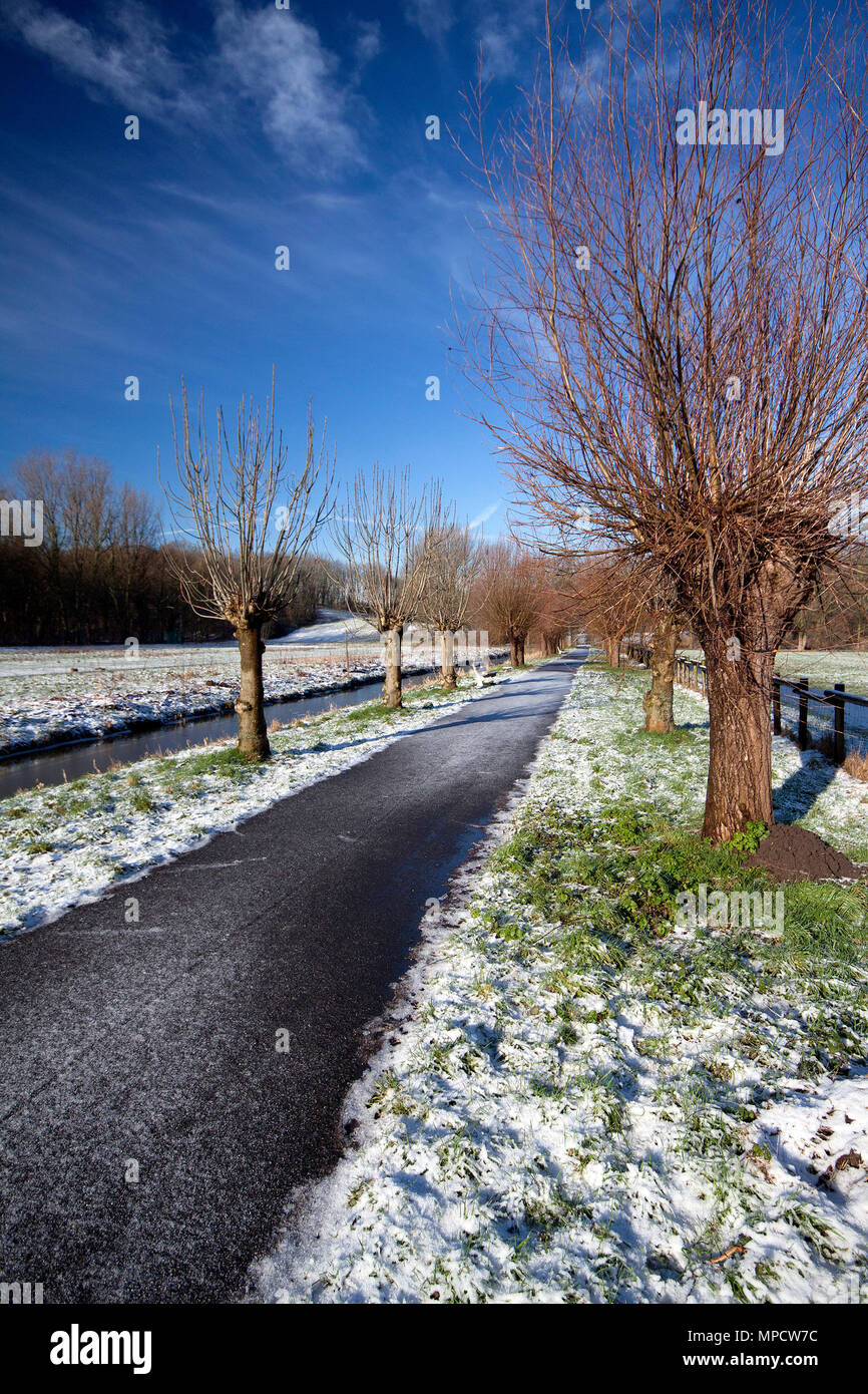 Frosty Morning - Queen Bee Mixology, image size:866x1390