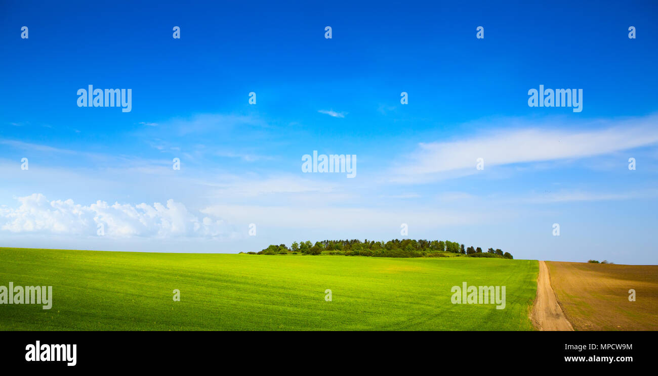 blue sky over farm green field Stock Photo - Alamy