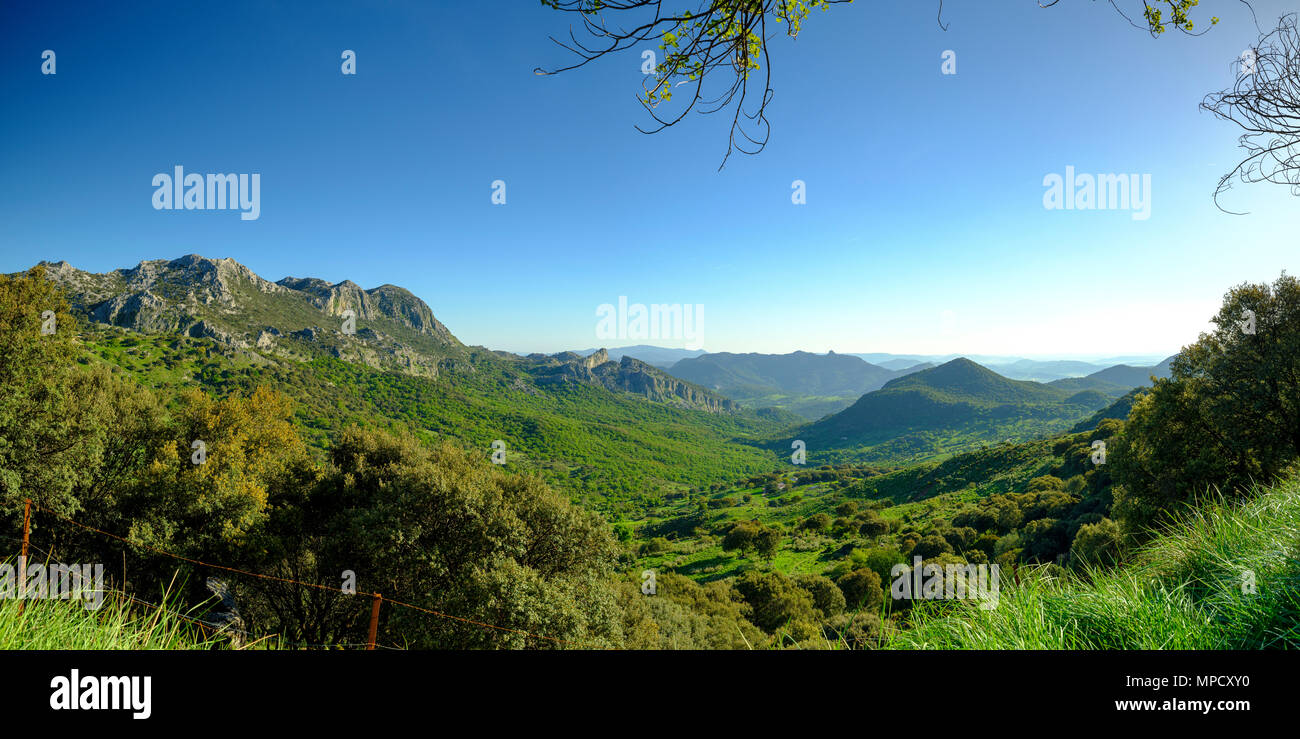 View near the Mirador Puerto del Boyar on the A372 between El Bosque