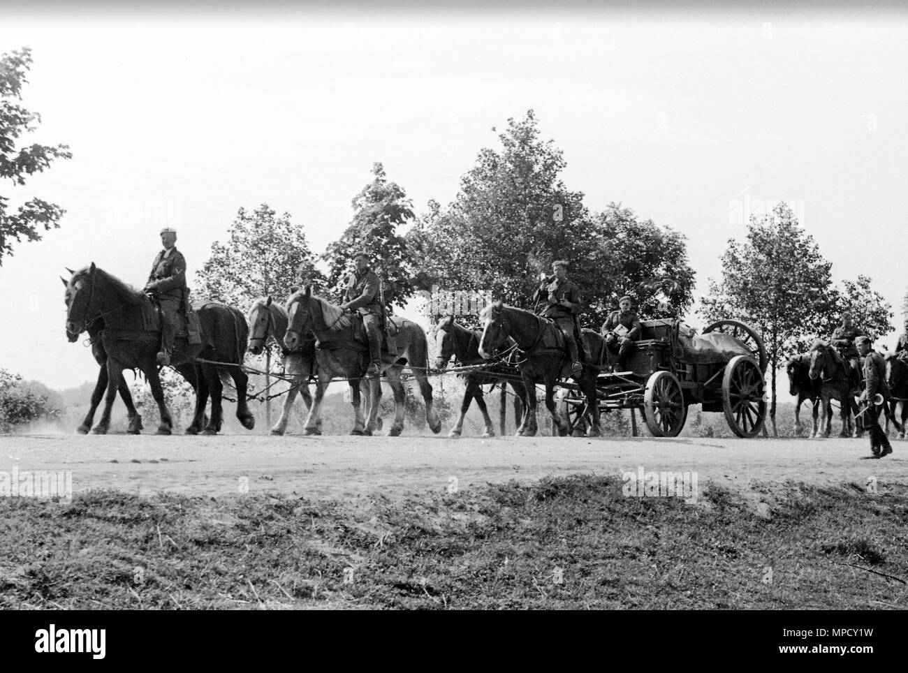 WW2 German Army Convoy in Russia during Operation Barbarossa. This image was taken by a German Army officer/soldier between 22-26/6/1941 Stock Photo