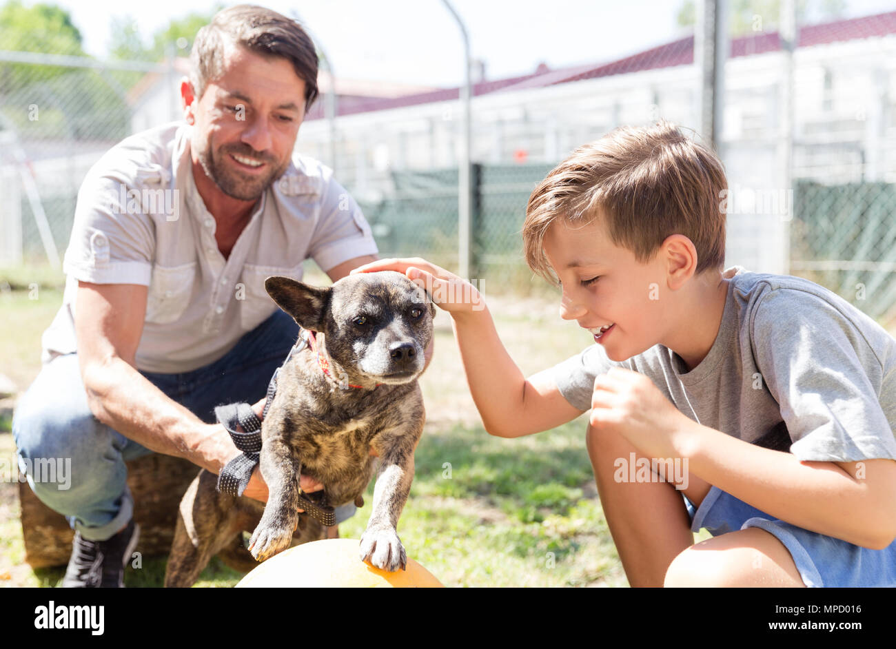 Dad and his son taking care of abandoned dog in animal shelter Stock Photo