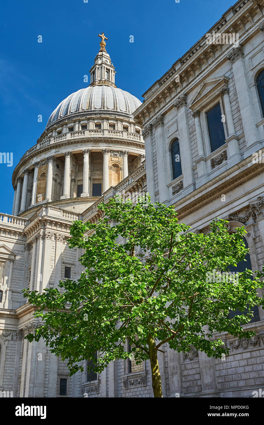 St Pauls Cathedral, London Stock Photo