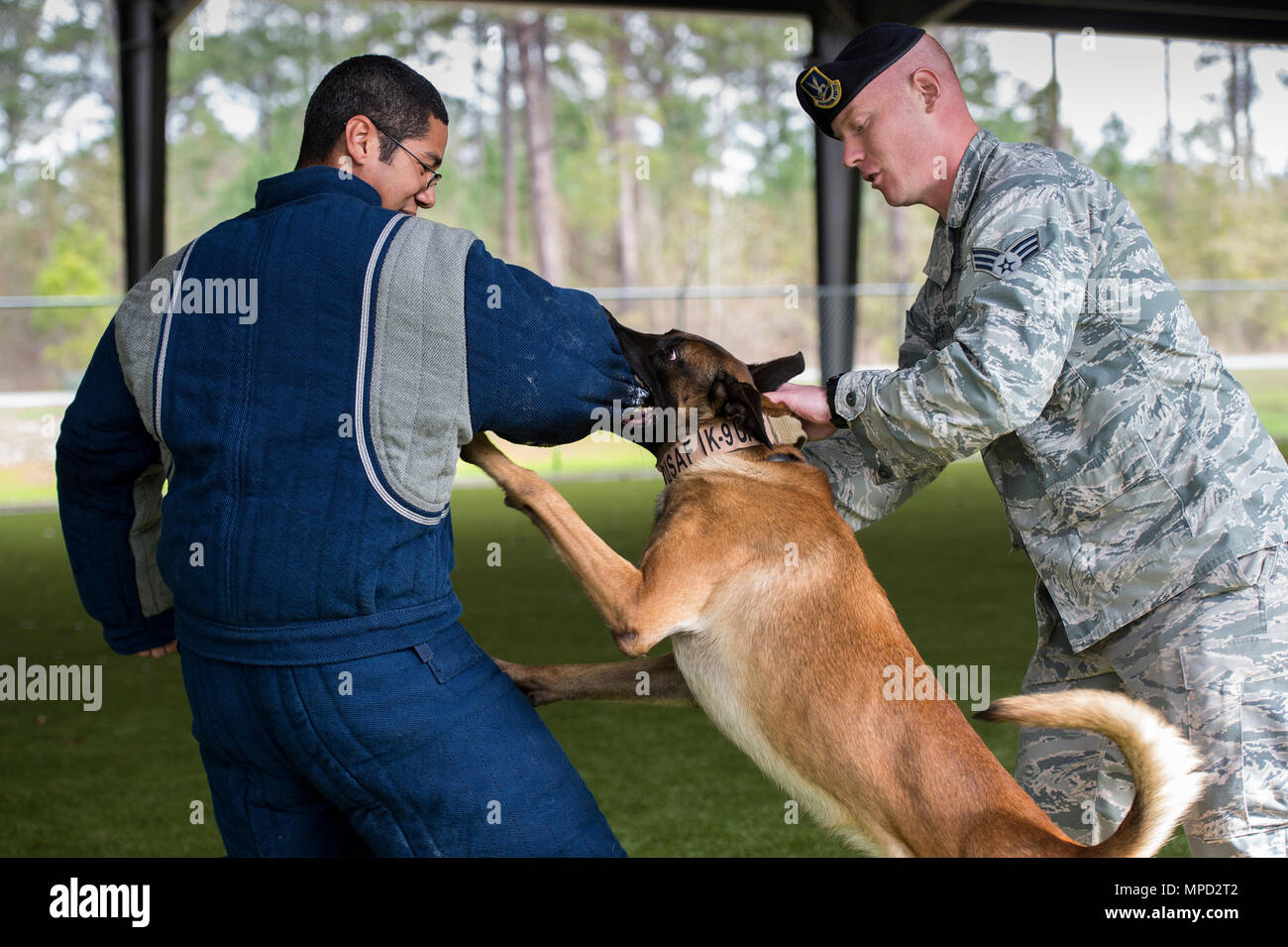 security dog handler training