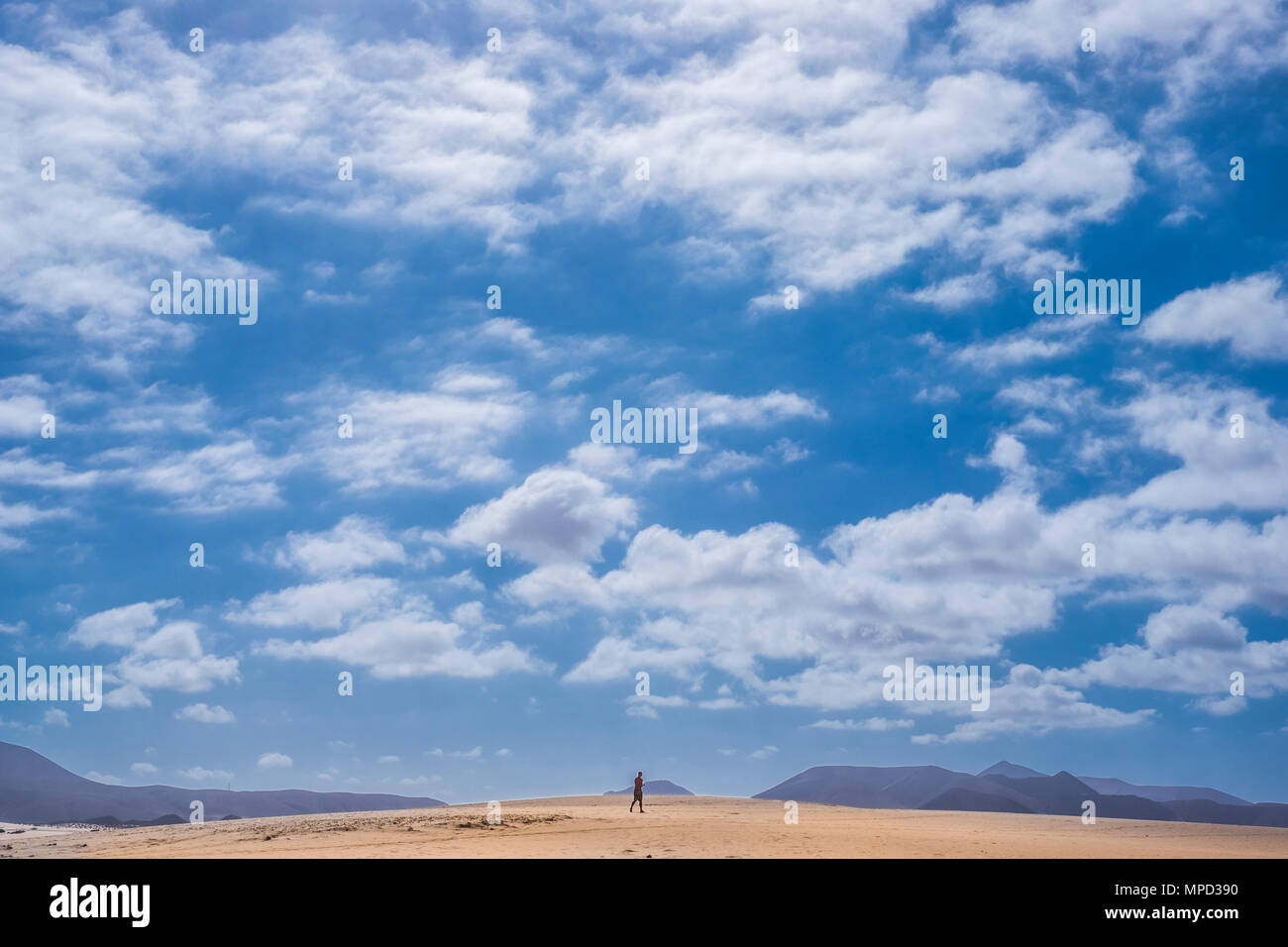 One man walk through the desert in Fuerteventura. Amazing panorama and blue sky with yellow ground. Lonely adventure. Stock Photo