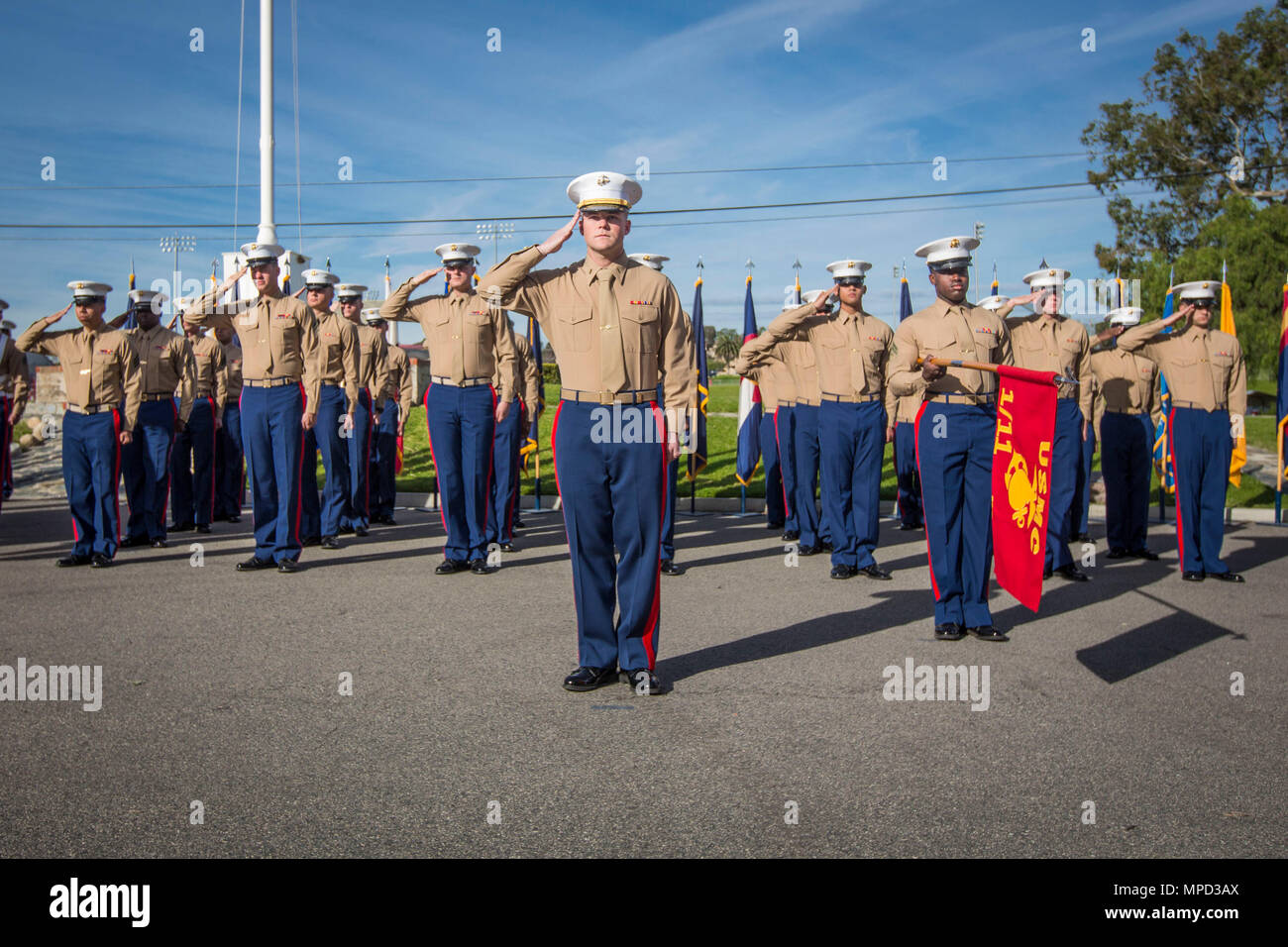 U.S. Marines salute during the 76th anniversary of 1st Marine Division  on Marine Corps Base Camp Pendleton, Calif., Feb. 2, 2017. Veterans, active duty Marines and Sailors who served in the division over the years participated in the ceremony celebrating the oldest, largest, and most decorated division in the Marine Corps. (U.S. Marine Corps photo by Lance Cpl. Rhita Daniel) Stock Photo