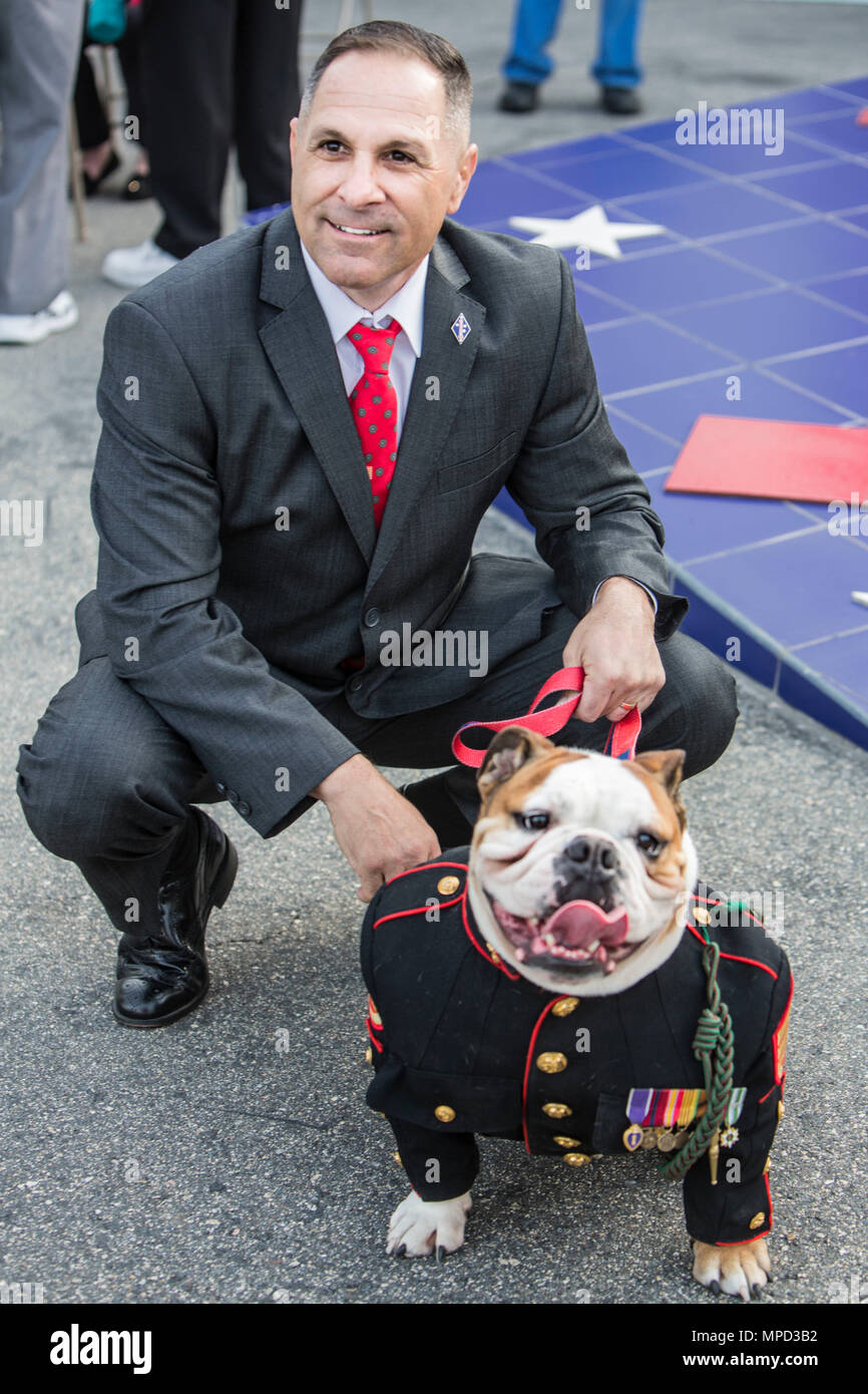 U.S. Marine Corps retired Sgt. Maj. Phil Fasceti and english bulldog Staff Sgt. Caesar, 1st Battalion 5th Mariens Vietnam Veterans’ mascott, pose during the 76th anniversary of 1st Marine Division on Marine Corps Base Camp Pendleton, Calif., Feb. 2, 2017. Veterans, active duty Marines and Sailors who served in the division over the years participated in the ceremony celebrating the oldest, largest, and most decorated division in the Marine Corps. (U.S. Marine Corps photo by Lance Cpl. Rhita Daniel) Stock Photo