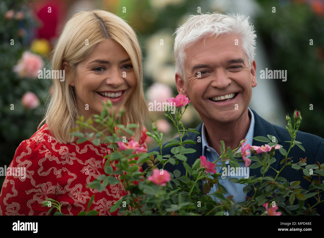 Phillip Schofield and Holly Willoughby, ITV This Morning presenters, unveils a special rose named ‘The Morning’ at Chelsea Flower Show 2018. Stock Photo