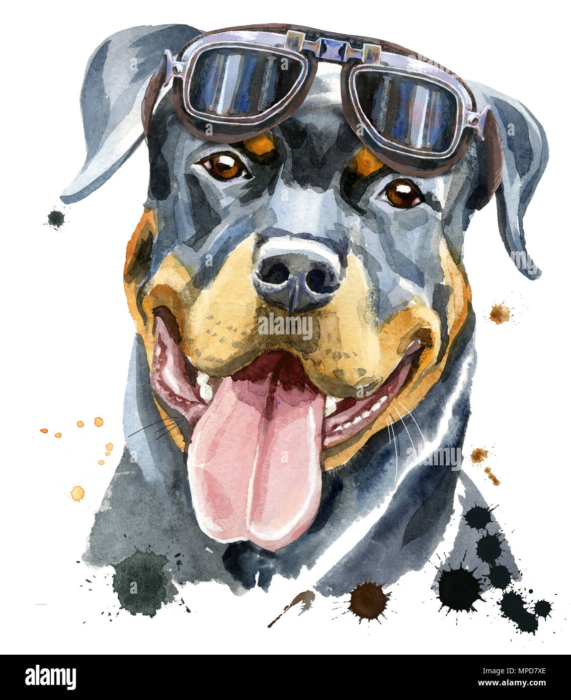 Cute Dog. Dog T-shirt graphics. Watercolor rottweiler with glasses Stock  Photo - Alamy