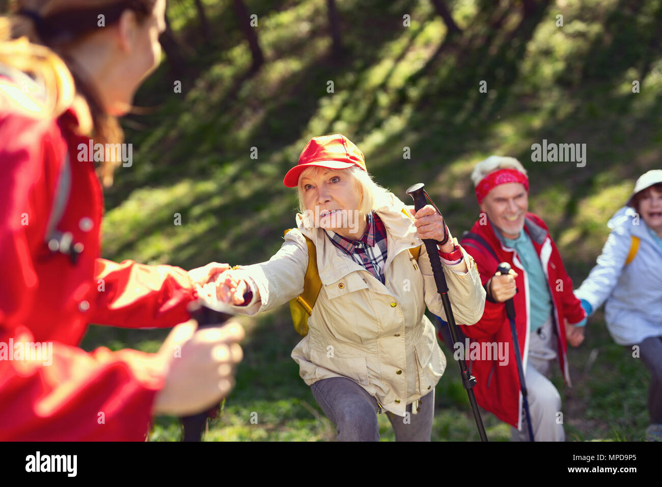 Cheerful team hiking in the forest Stock Photo