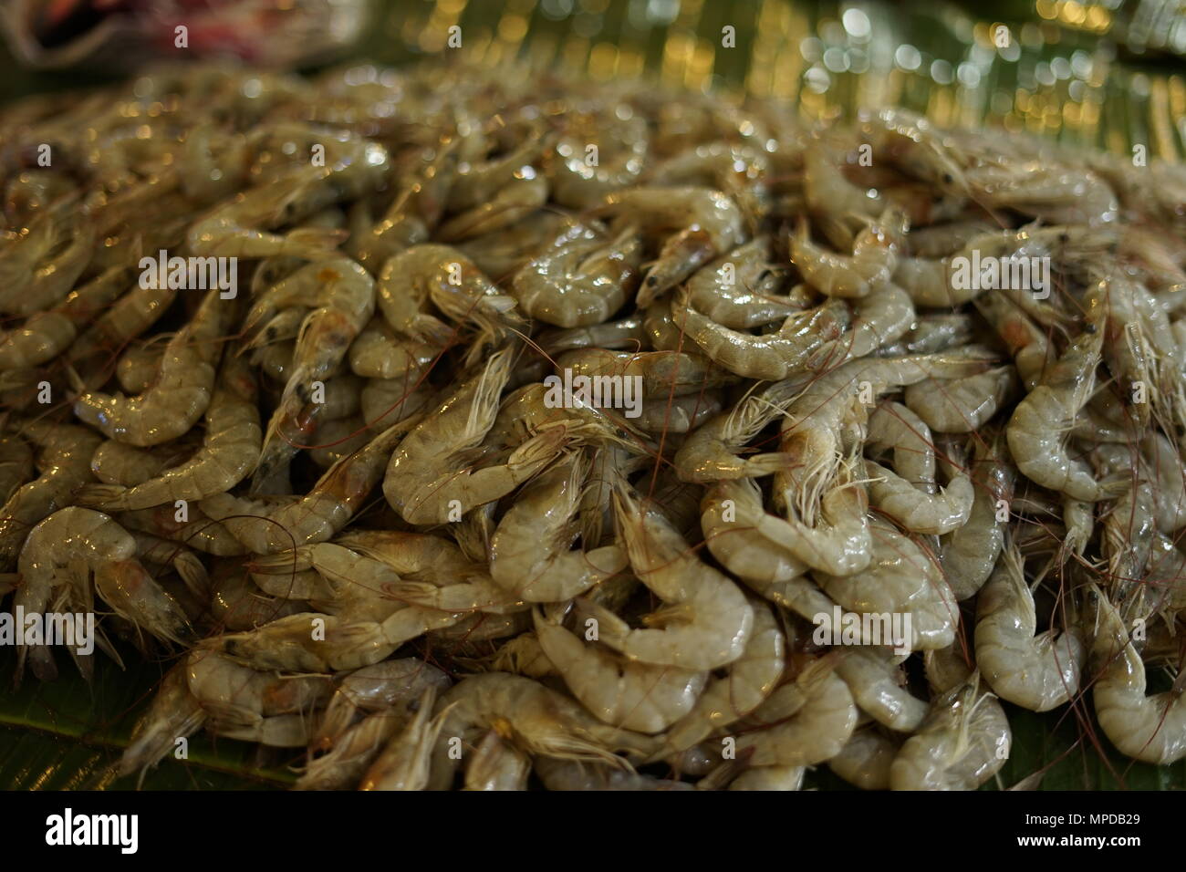 Fresh shrimp for sale at fish market Stock Photo Alamy