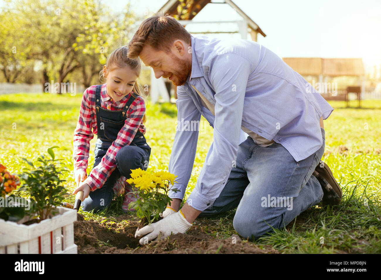 Joyful positive father and daughter having fun Stock Photo