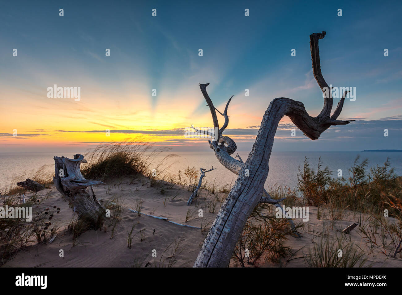 A dead tree is silhouetted against sunset rays over Lake Michigan at Sleeping Bear Dunes National Lakeshore in northern Michigan Stock Photo