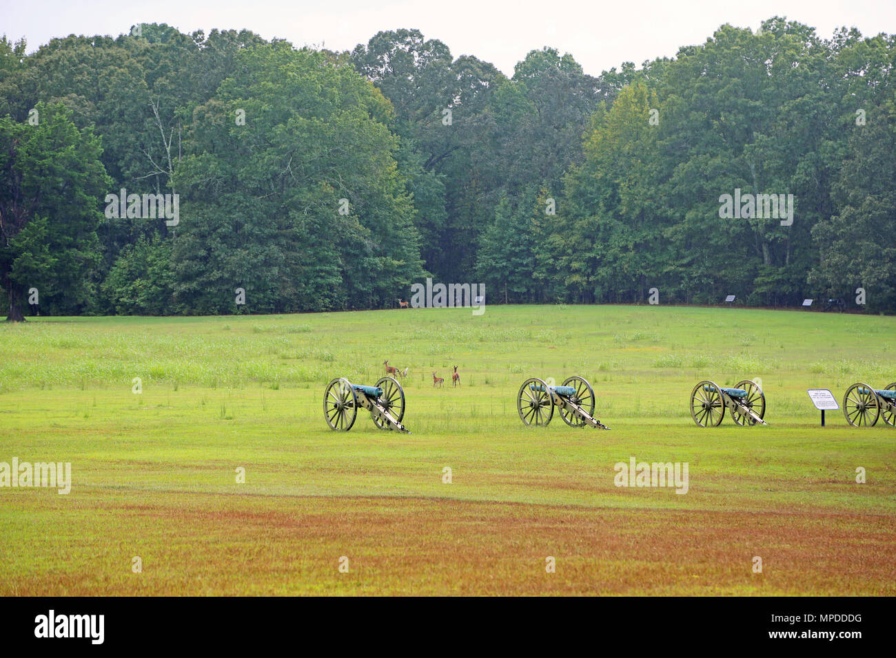 Cannon and deer on battlefield - Shiloh National Military Park, Tennessee Stock Photo
