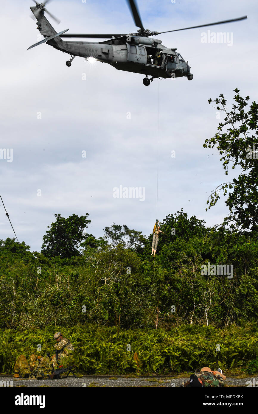 Jungle High Resolution Stock Photography and Images Alamy