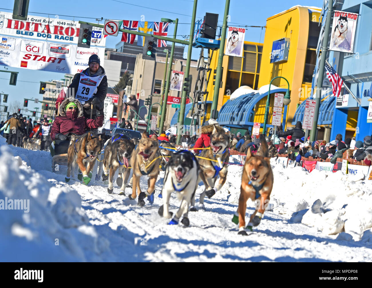 The ceremonial start to the 45th annual Iditarod Trail Sled Dog Race was  hosted at Anchorage, Alaska, March 4, 2017. For 11 miles, more than 1,150  dogs pulled 72 mushers for the