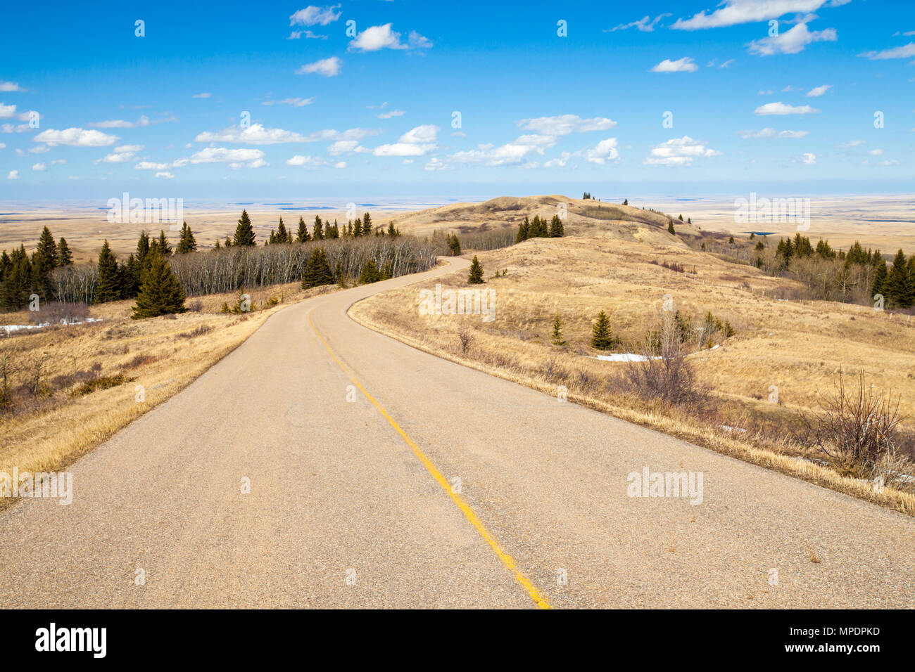 A road though Cypress Hills Interprovincial Park, Alberta, Canada in spring Stock Photo