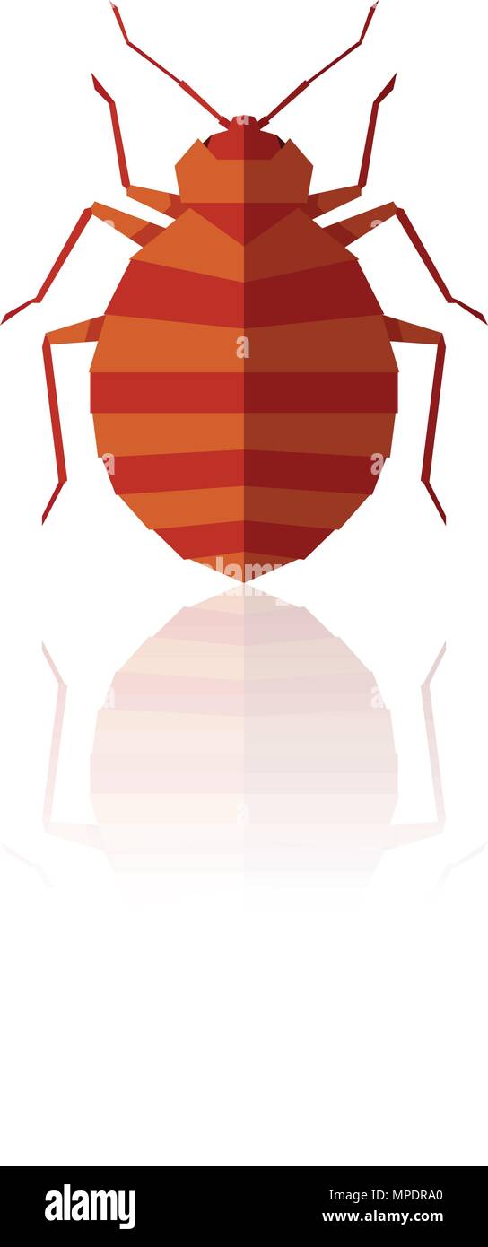 Flat geometric bedbug Stock Vector