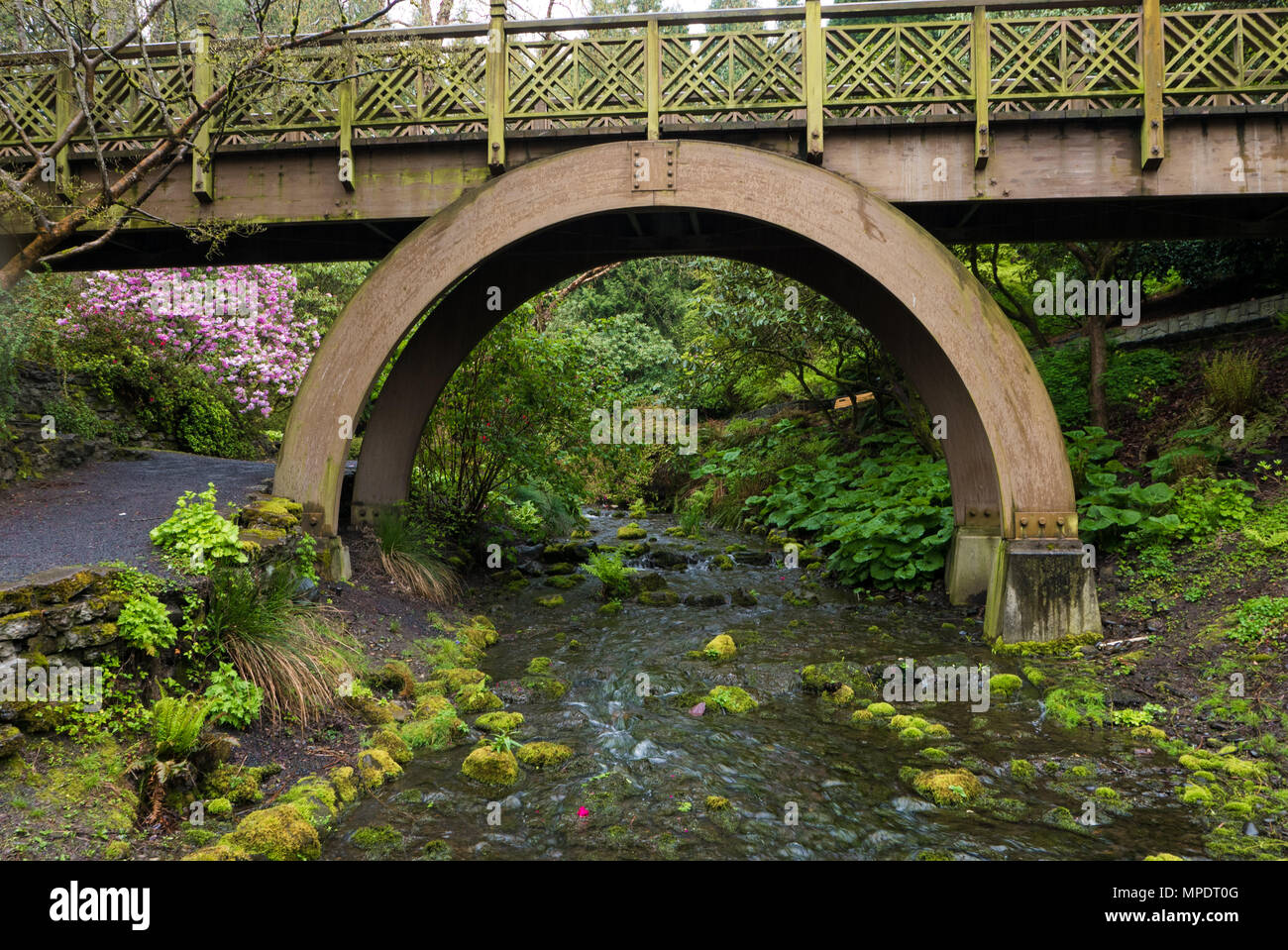 A wooden bridge in Portland's Crystal Springs Rhododendron Garden, Oregon Stock Photo