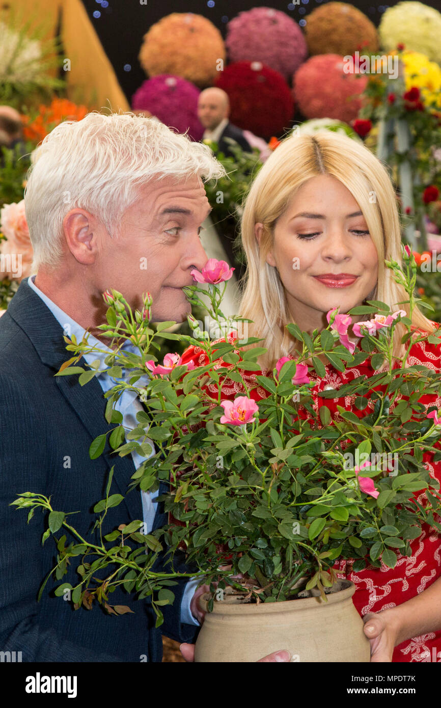Holly Willoughby and Phillip Schofield unveil a special rose to be